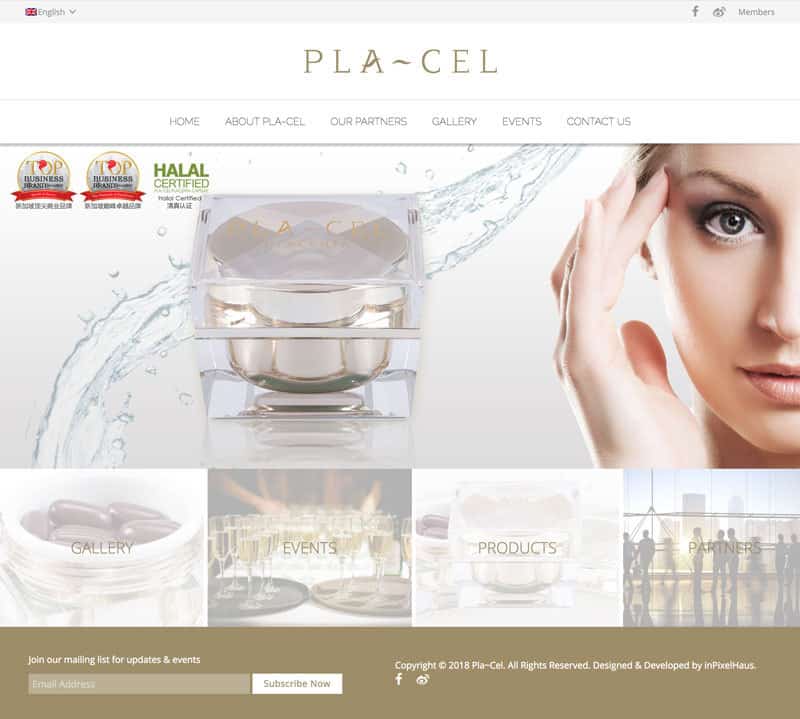 Pla-Cel Web Design and Development