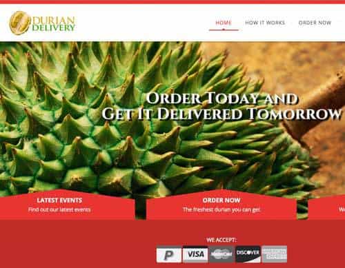 Durian Delivery Web Design and Development